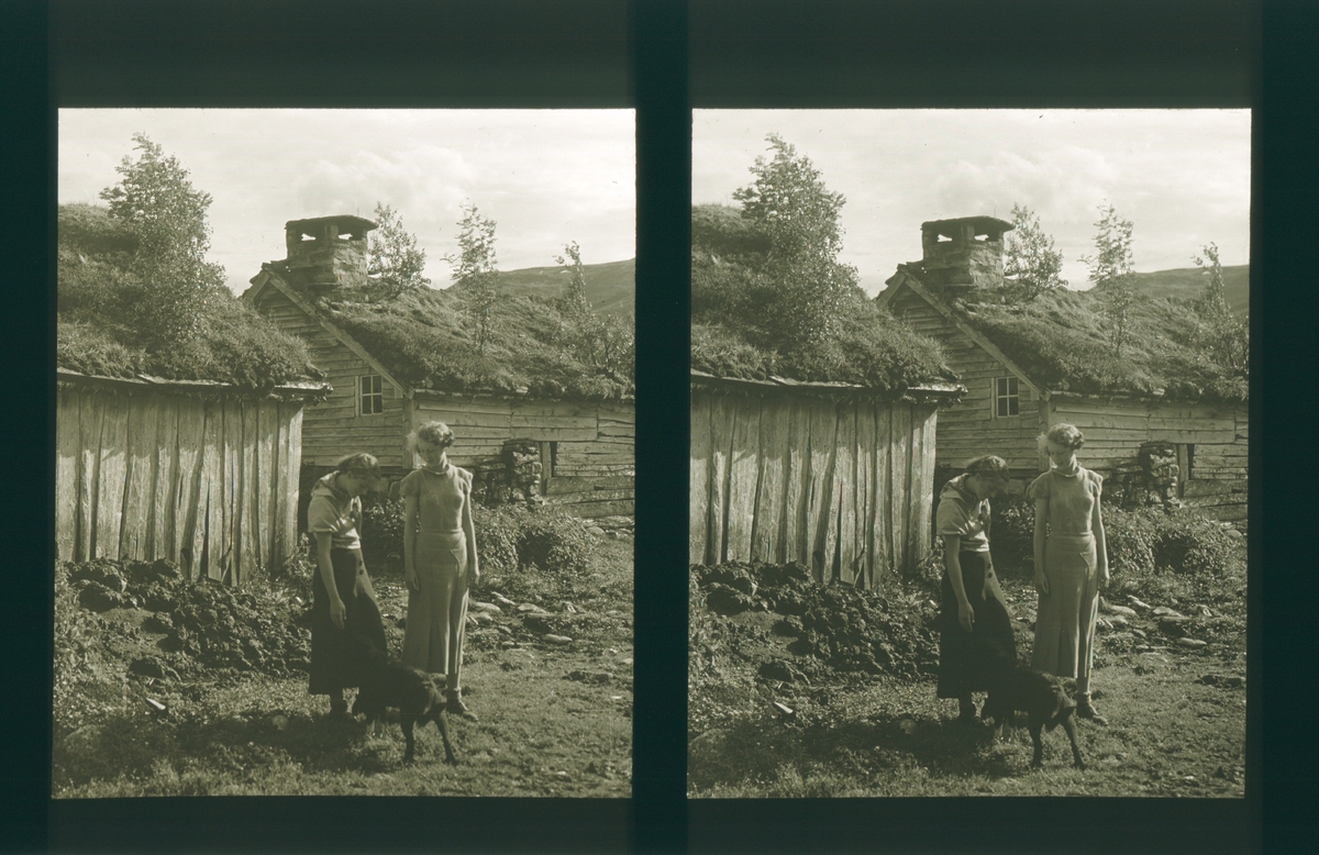 To unge kvinner ute ved seteren, Stordal, Møre og Romsdal. Tilhører Arkitekt Hans Grendahls samling av stereobilder.