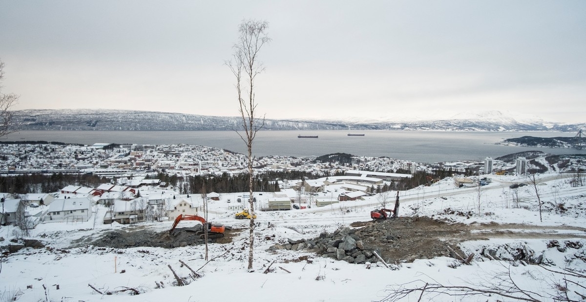 Oversiktsbilde. Alle bilder er tatt fra litt ulike steder i området nedenfor gamle Skihytta ved gamle Fagerlibakken i Narvik.  8. feb 2018.