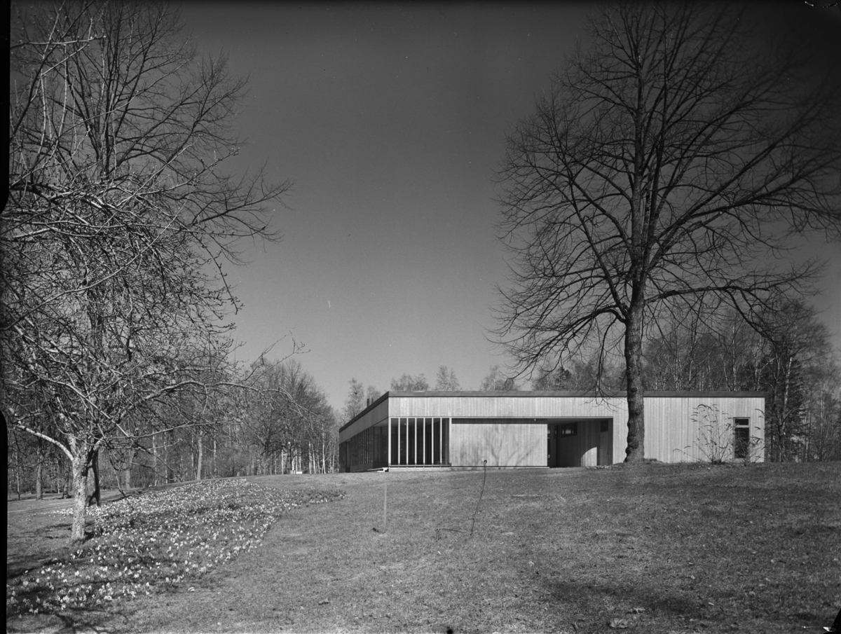 Villa Collin, SkutskÄr - Arkdes   Digitaltmuseum