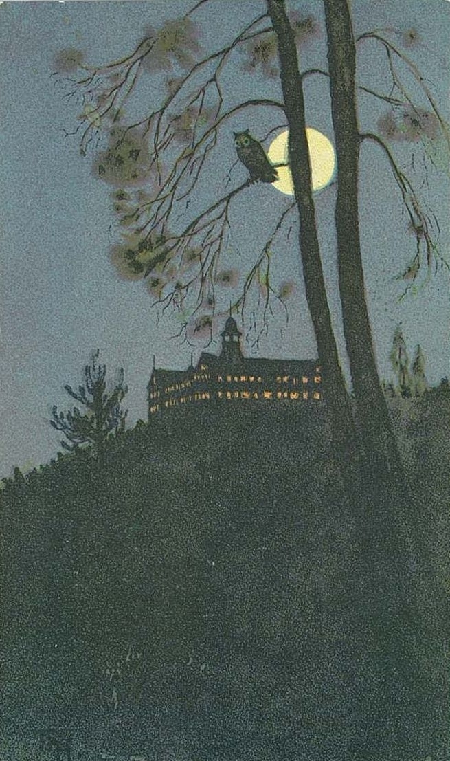 Voksenkollen sanatorium på åskanten. Måne. Ugle i tre.