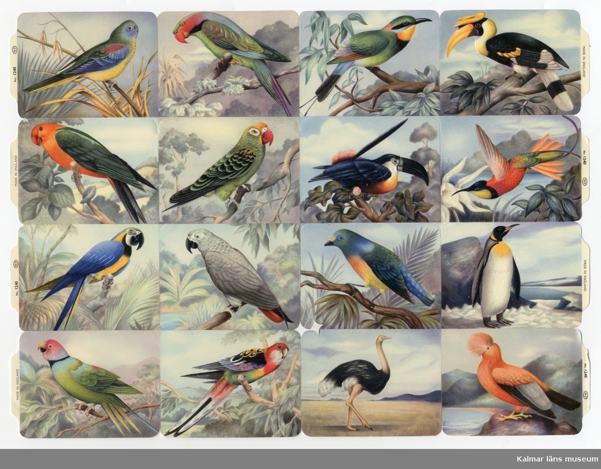 Exotiska fåglar; papegoja, pingvin, struts m.fl. 16 olika motiv.