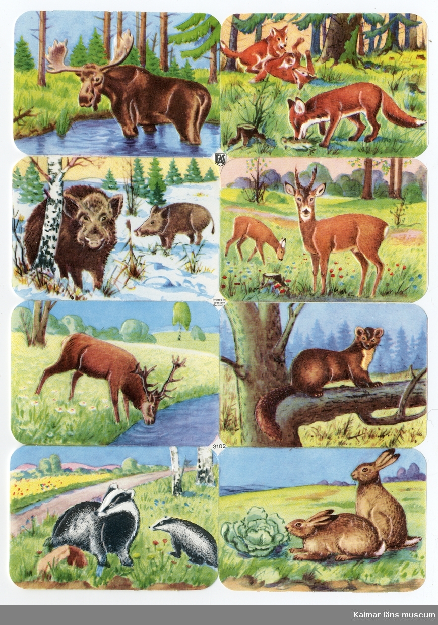 Nordiska vilda djur; älg, räv, vildsvin, rådjur, hjort, mård, grävling och kanin.