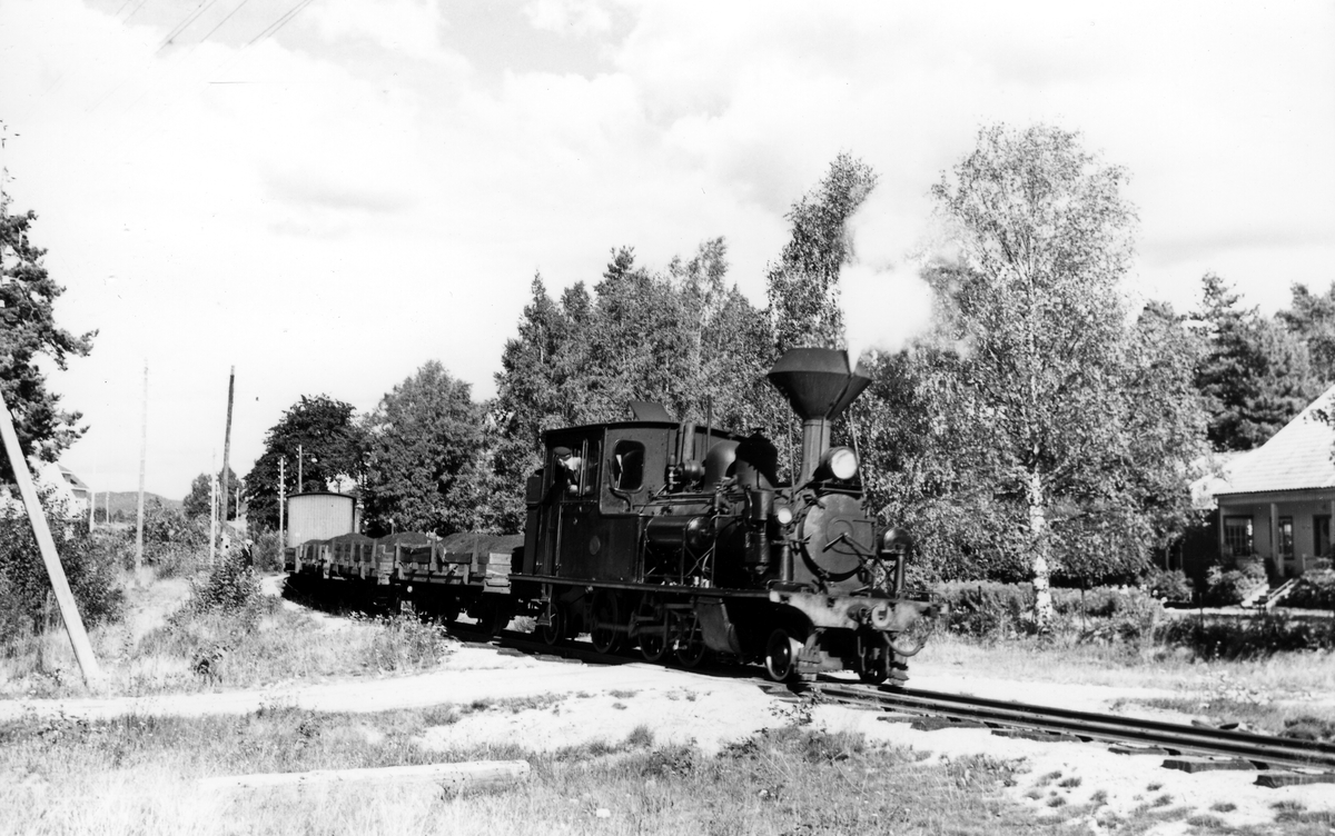 Setesdalsbanen. Godstog ved Hornnes stasjon. Lok nr. 5.  August 1958.