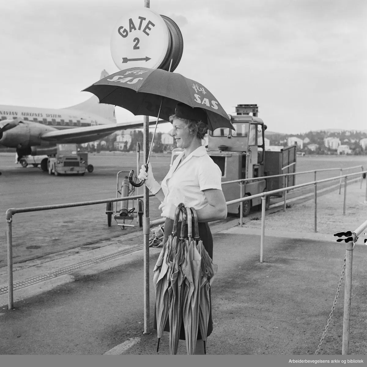 Formiddag på Oslo Lufthavn, Fornebu. Flyvertinne Inger Johanne Backer fra SAS deler ut paraplyer til passasjerene. Juli 1961.