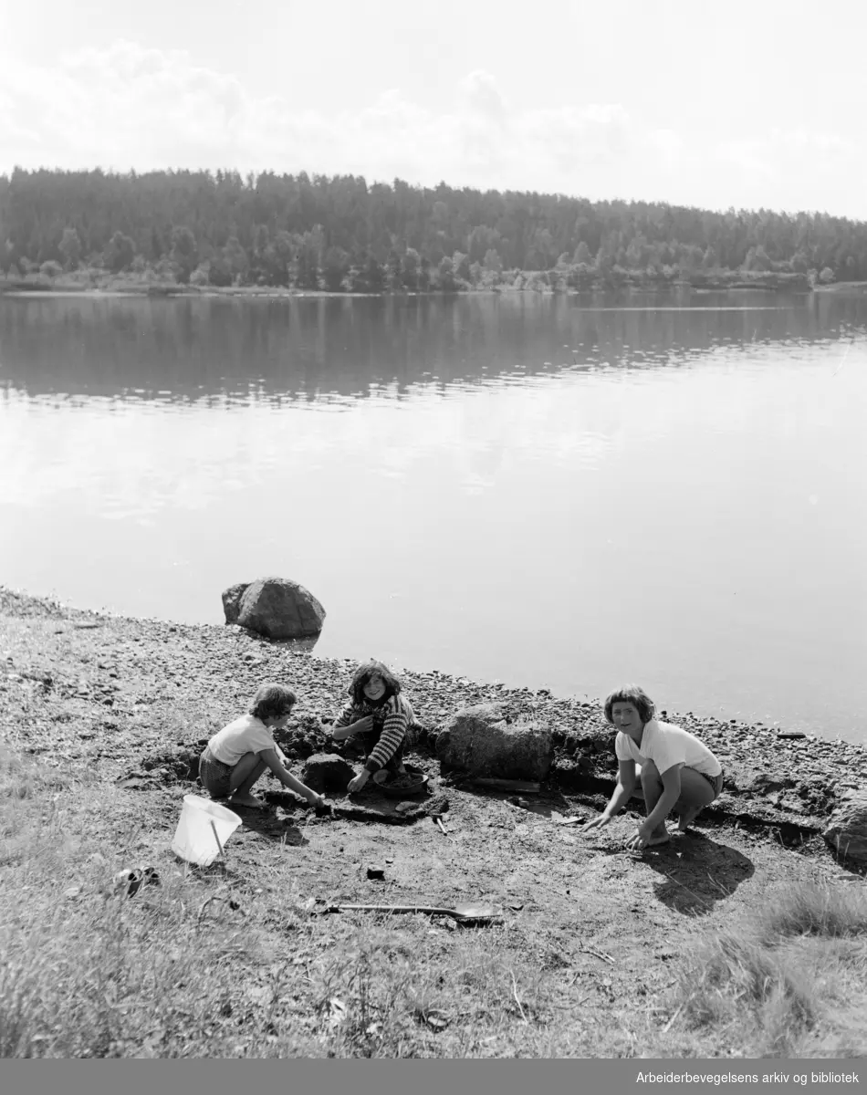 Borøya i Oslofjorden. August 1956