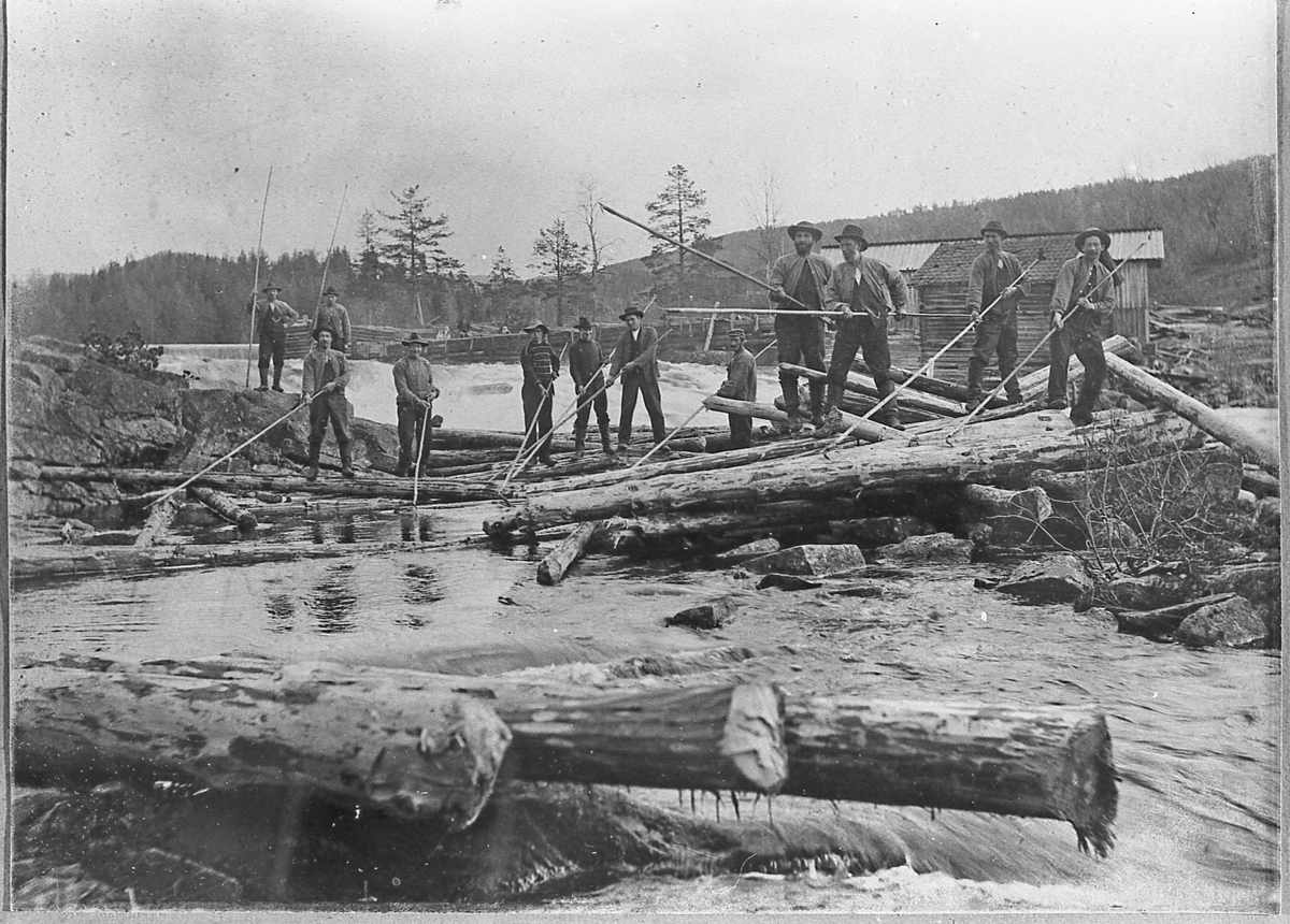 Tømmerfløting i Øvre Sigdal, muligens i nærheten av Albjerk eller Narum. Lav vannstand. Antagelig rundt 1890-1910.