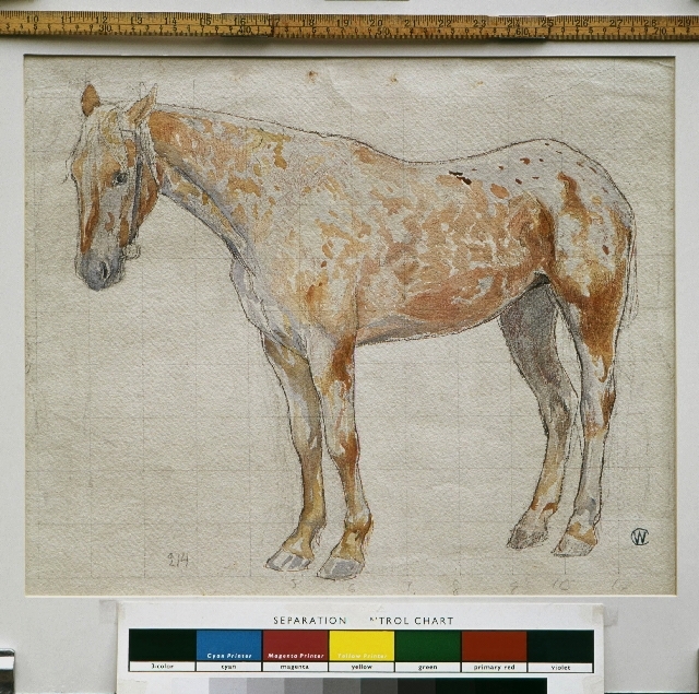 Skiss nr 3 visar hästen "Bläsen" i Postmusei samlingar.