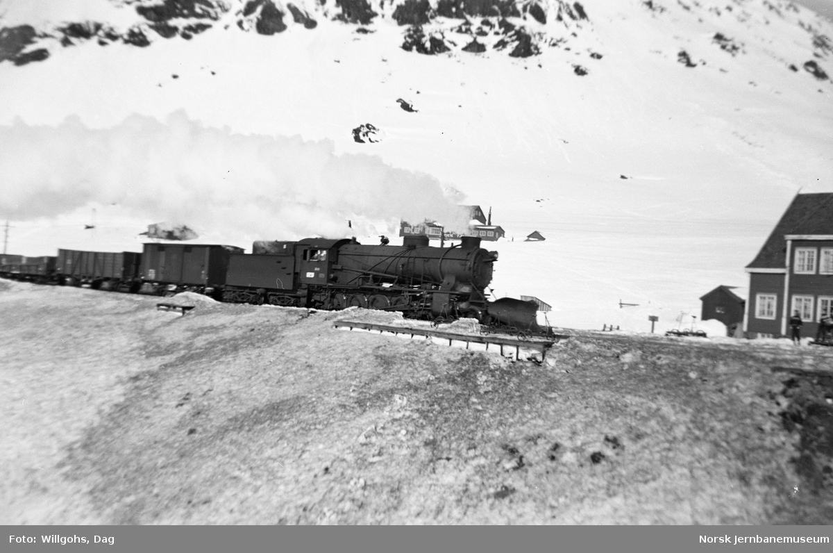 Godstog fra Bergen ved Upsete, trukket av damplokomotiv type 39a nr. 308