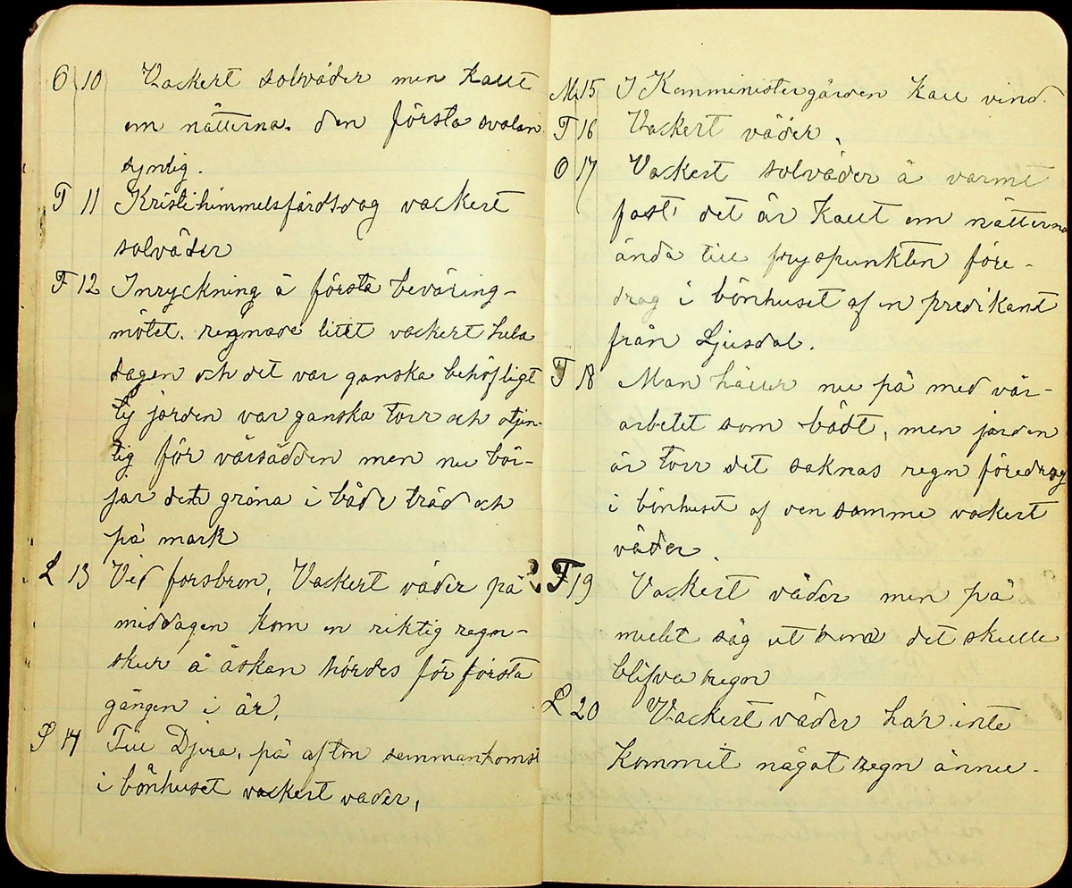 Bondedagbok skriven av Erik Hane, Norra Gröntuv, Tallbacken, under åren 1893-1895. 
Innehåller anteckningar om bl.a. jordbruk och skogsarbete, väder, värnplikt, diverse händelser i samhället och resor.