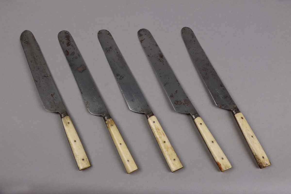 Bordsknivar av kolstål med hantag avben nitade med metallstift. Knivbladen stämplade A. M. ZANDER ESKILSTUNA.