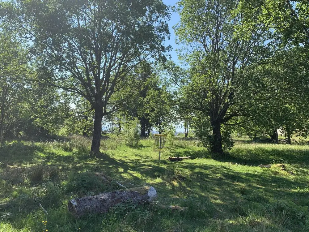 Bildet viser ein disc-golf korg mellom trærne på Herdla