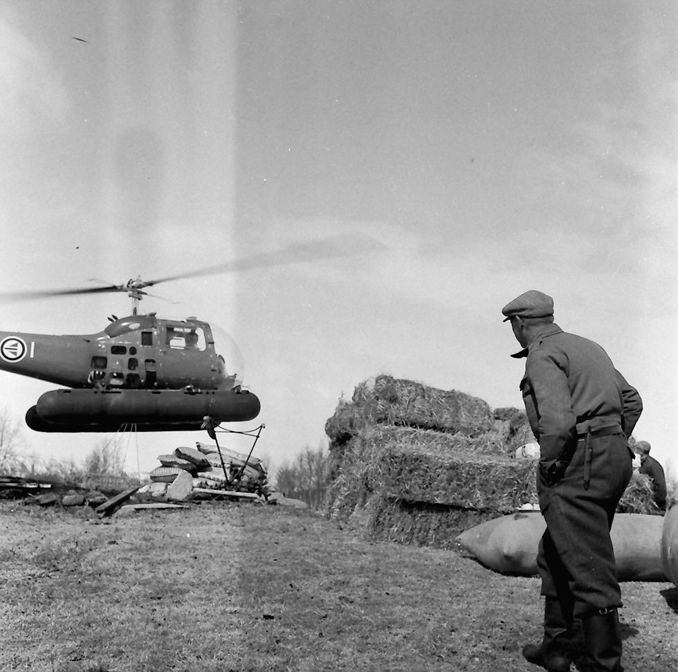 Høy og kraftfôr fraktes med helikopter til Odden (Kvikne)