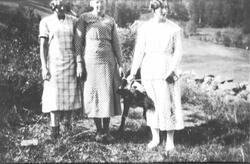 Portrett av tre kvinner som holder en kalv.