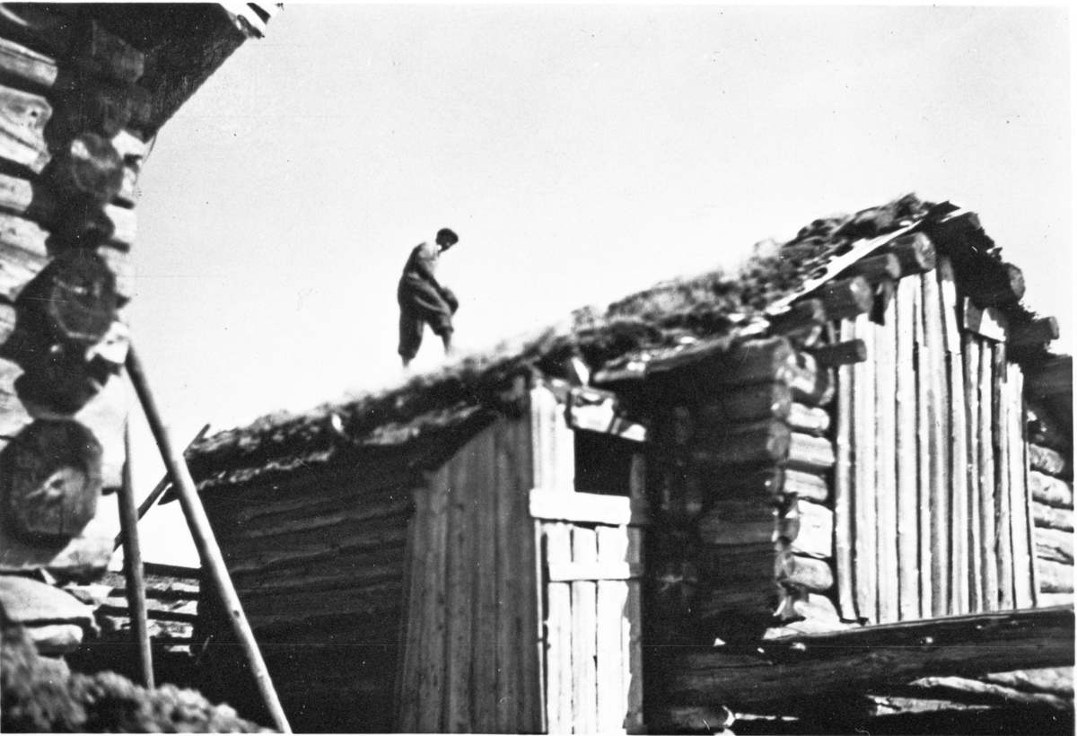 Reparasjon av taket på Skareseter, ca. 1950. Knut Rugland på taket.