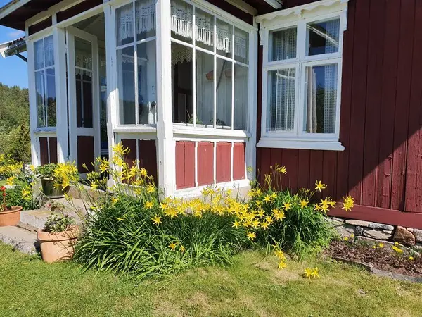 Glassverandaen på Vestun med gule blomster i forgrunnen