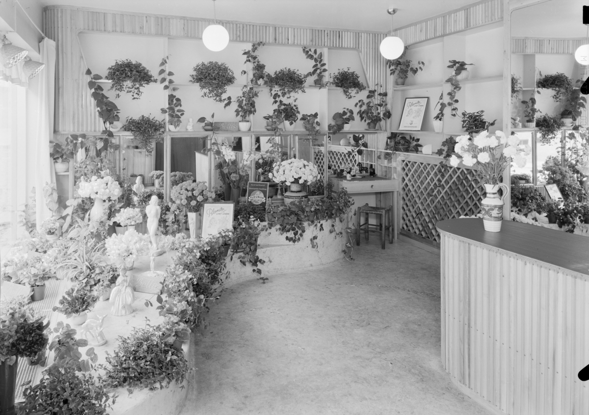 Interiørfoto fra blomsterbutikk.