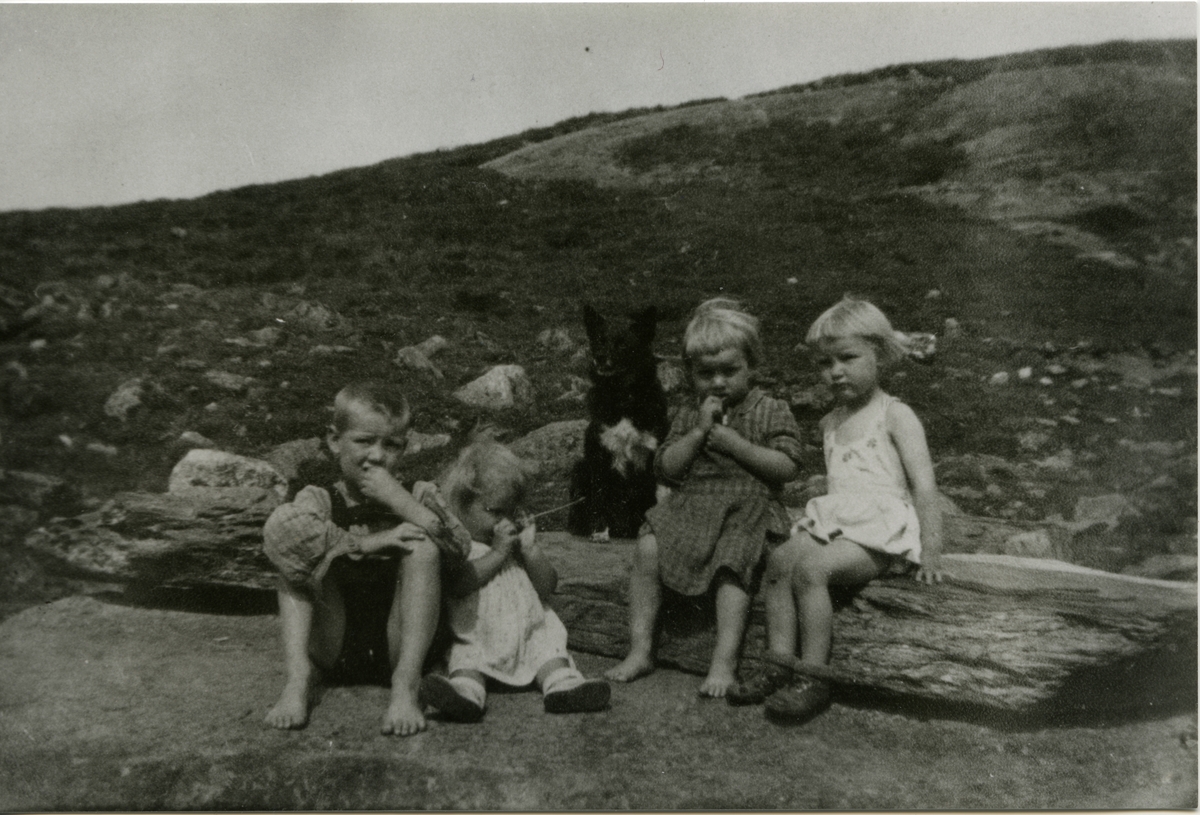 Frå venstre: Ola Jørgen Veflen, Anne Lise Fjellstad, Jørand Veflen og Kari Bunde