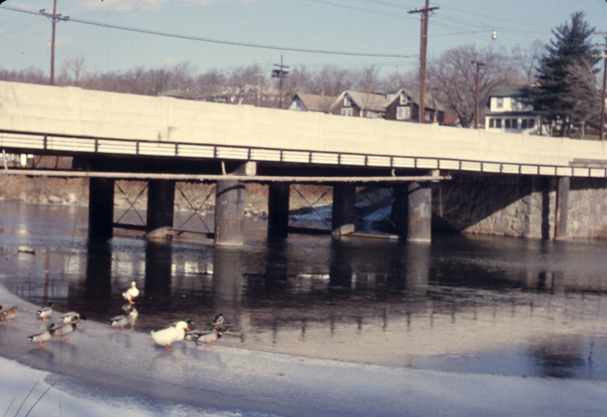 Bro over vann tamender og stokkender i forgrunnen vinter is på vannet
