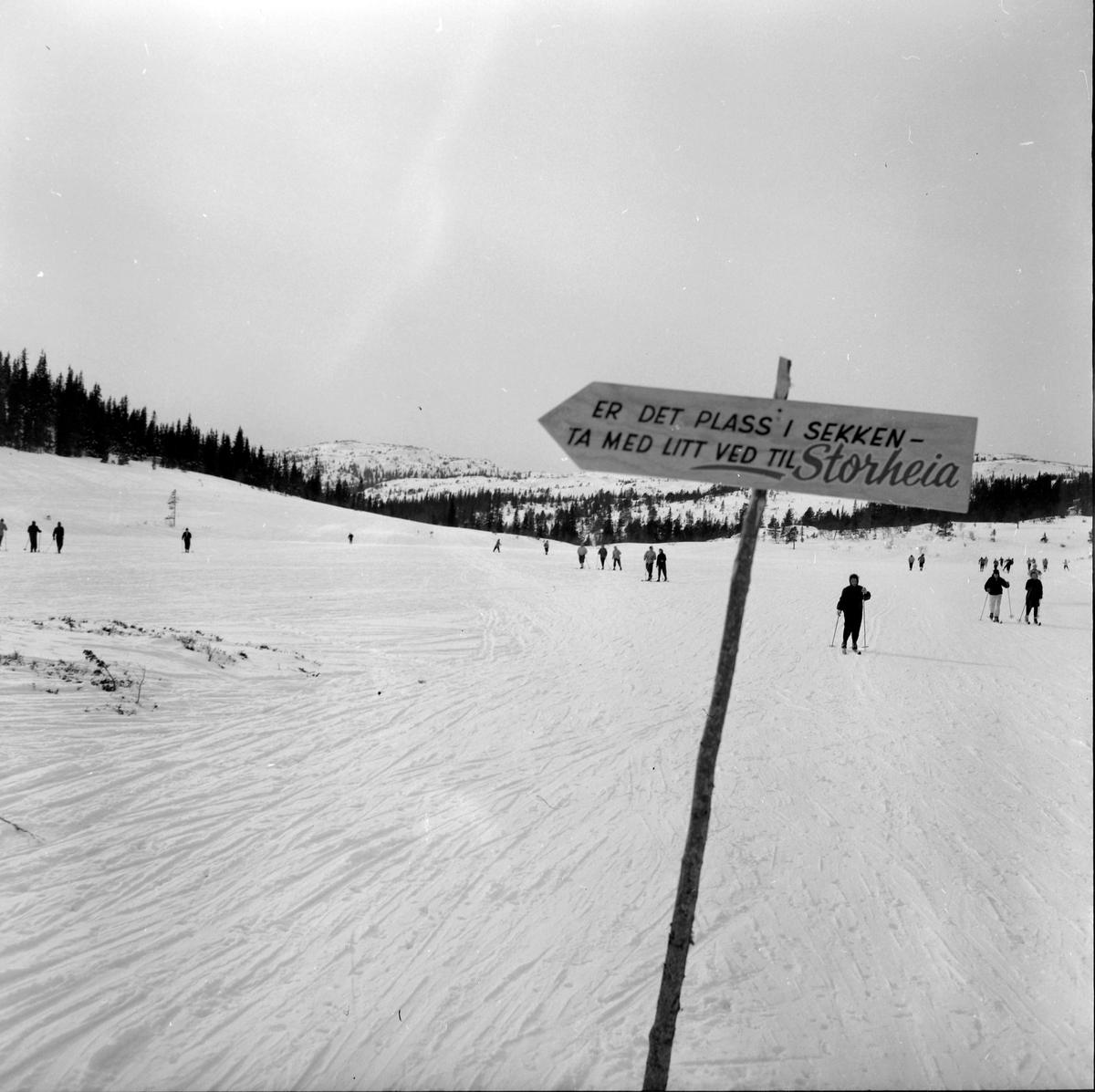 Skigåere i Bymarka