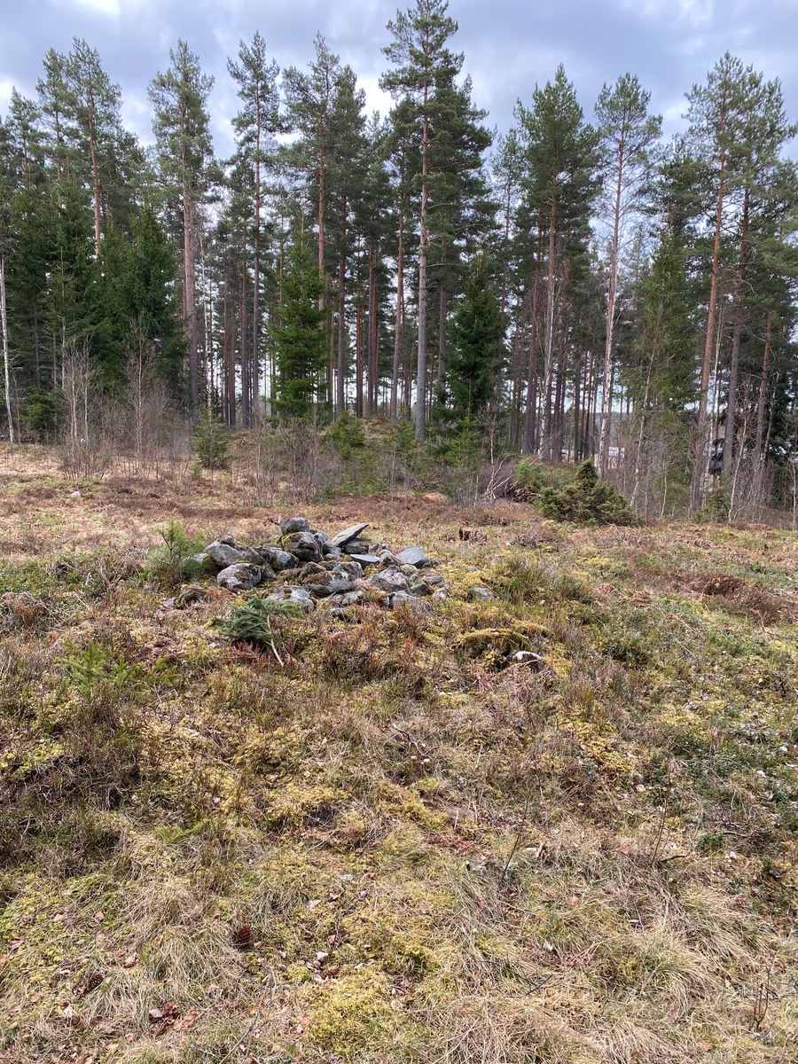 En förhistorisk grav, stensättning, före framrensning. I bakgrunden ses ett område där ytterligare en stensättning ligger. På toppen av den främre stensättningen finns ett odlingsröse.

Fotot togs i samband med en arkeologisk förundersökning nordväst om Mullsjö i Jönköpings län.