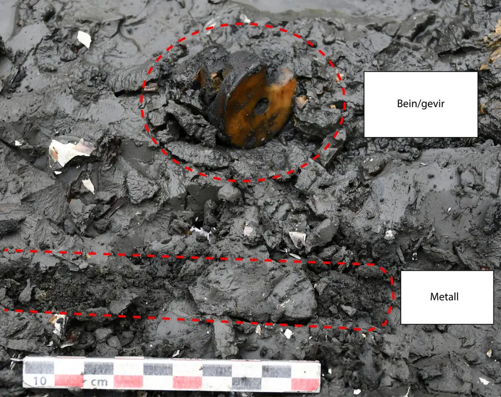 Sylindrisk, lysebrun gjenstand med hull i midten, innringet i rødt og med teksten "bein/gevir" ved siden av, liggende på, og delvis i, grå leire. Noe nedenfor en svart, grynete stripe i leira, også innringet i rødt og med teksten "metall" ved siden av.