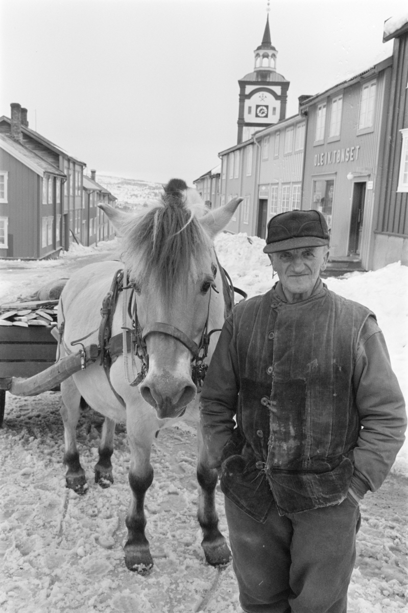 Vedkjøring med hest og vogn på Røros.