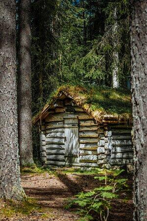 Anno Norsk skogmuseum (Foto/Photo)