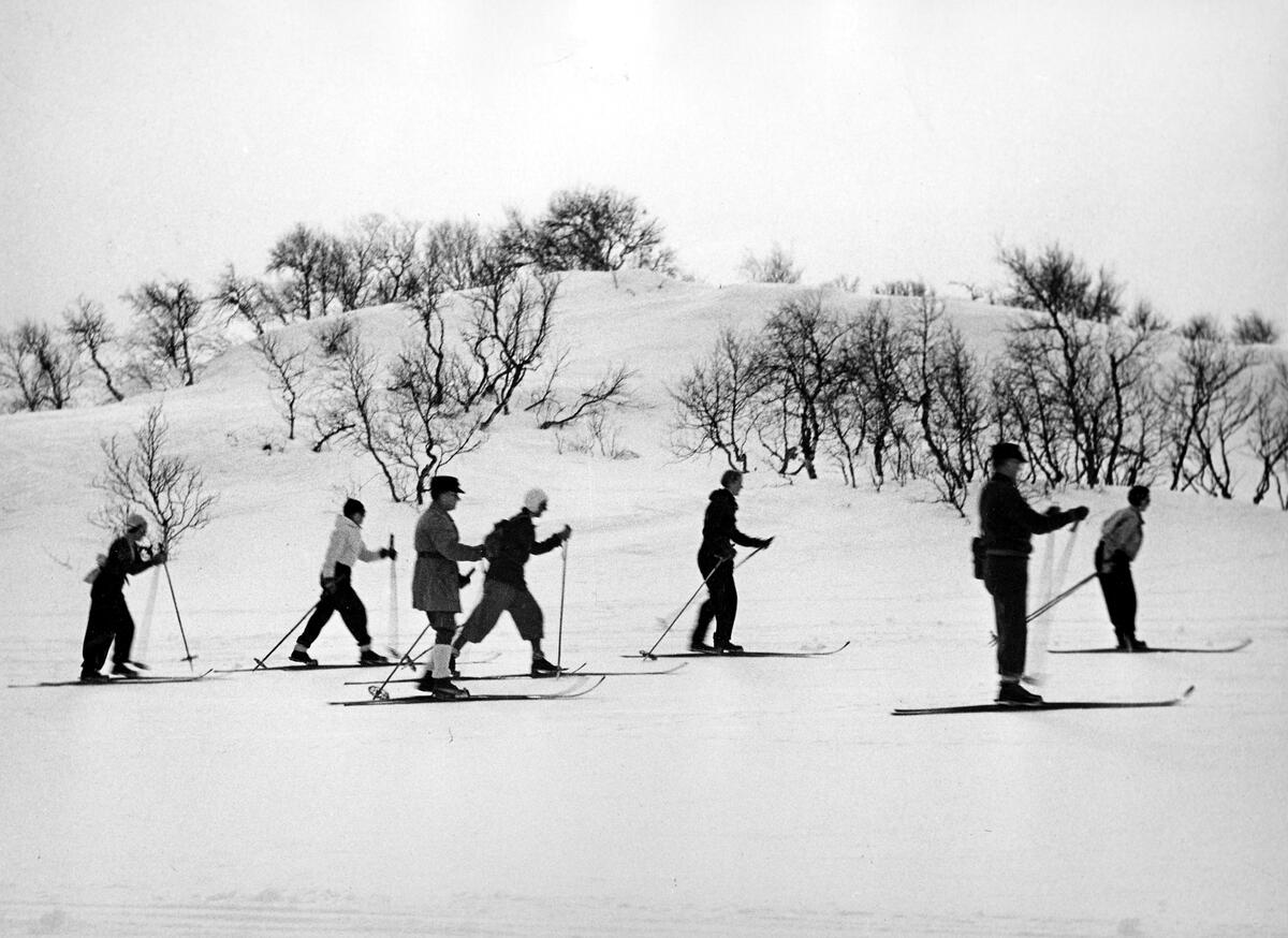 Hamrafjället, på väg mot Sylarna. - Västernorrlands museum / DigitaltMuseum