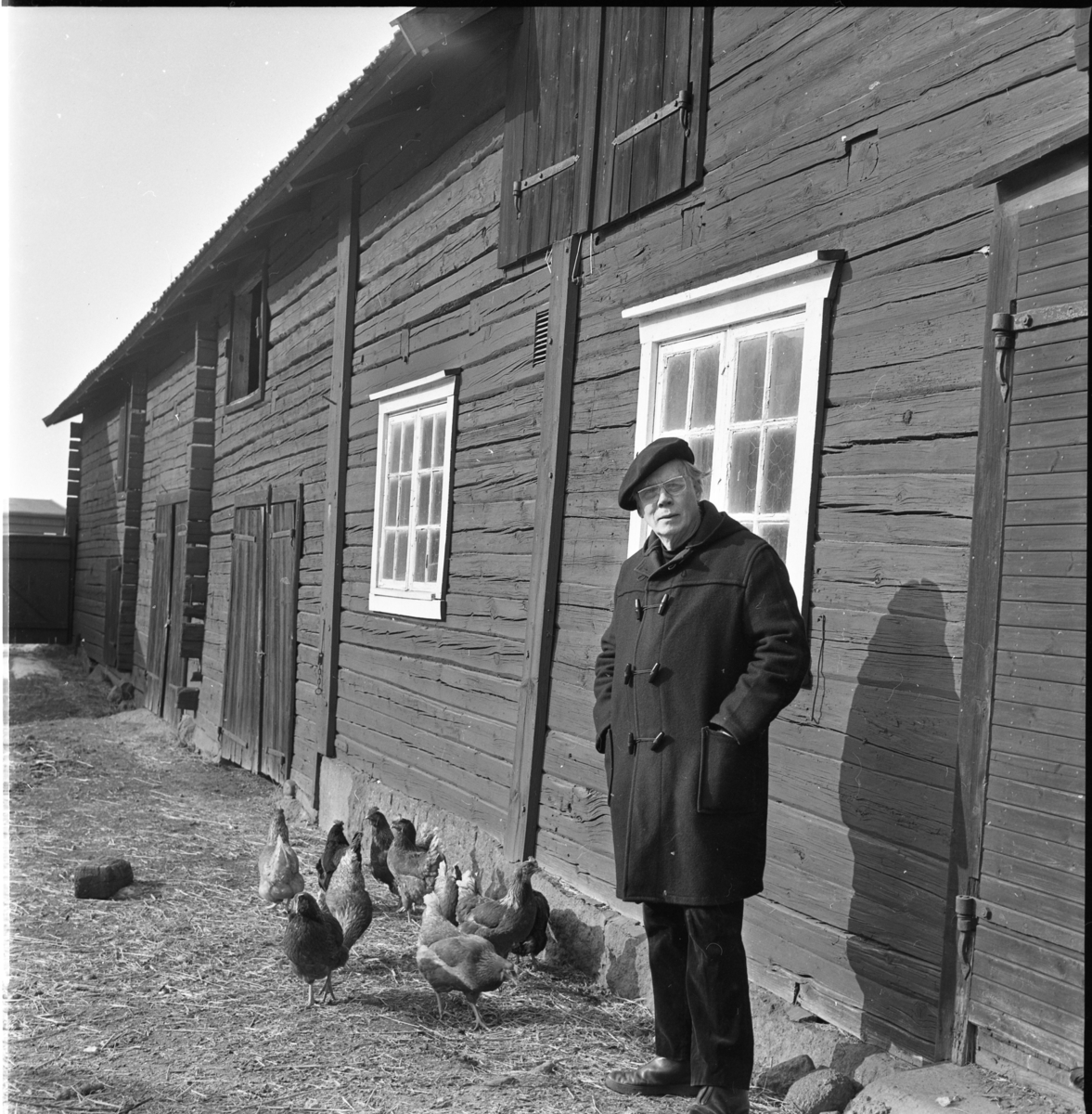 En man med basker och rock står utanför en ekonomibyggnad tillhörande Gränna prästgård. Han tittar mot några höns som går till vänster om honom.