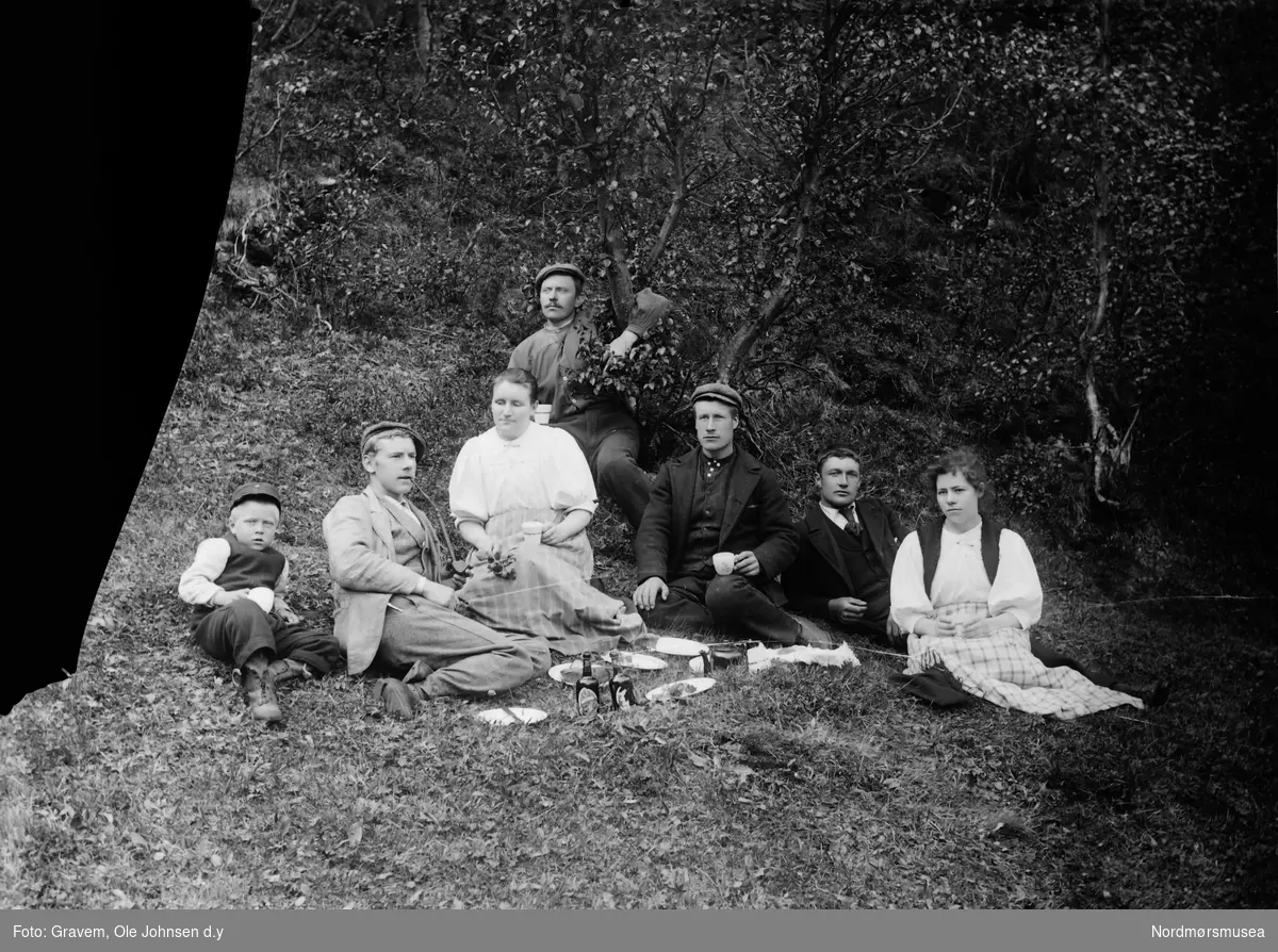 Gruppeportrett av en piknik i naturen. 