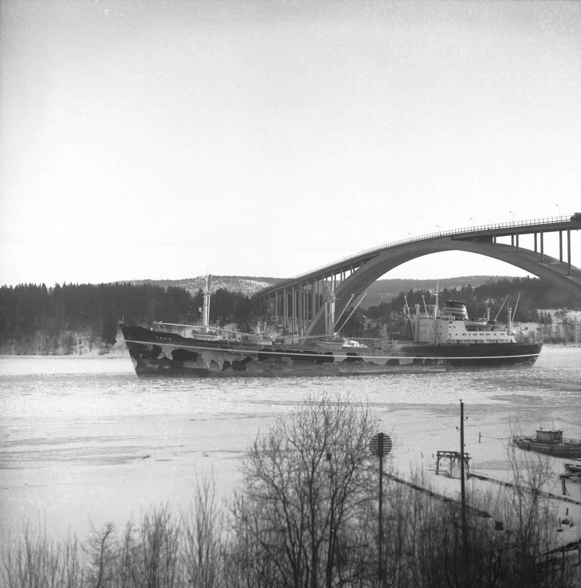 Fartyget Tarn vid Sandöbron

