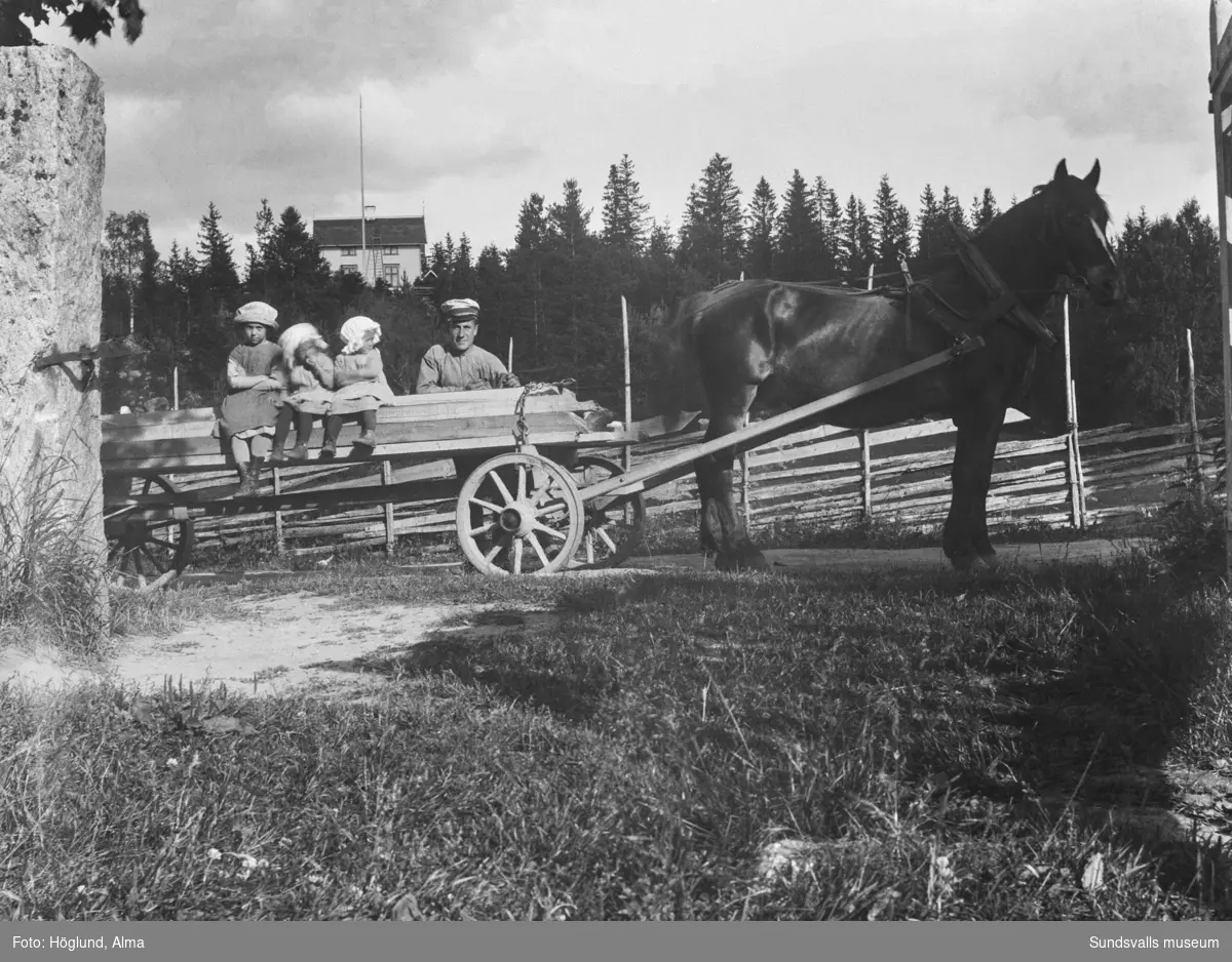 Häst  med ett brädlass på vagnen vid infarten till gården Per Måns i Fanbyn, Stöde. På lasset sitter systrarna Hilma, Ingrid och Irma Höglund och kör gör deras farbror Edvin Höglund. I bakgrunden syns Erik Wiströms hus på Storberget.