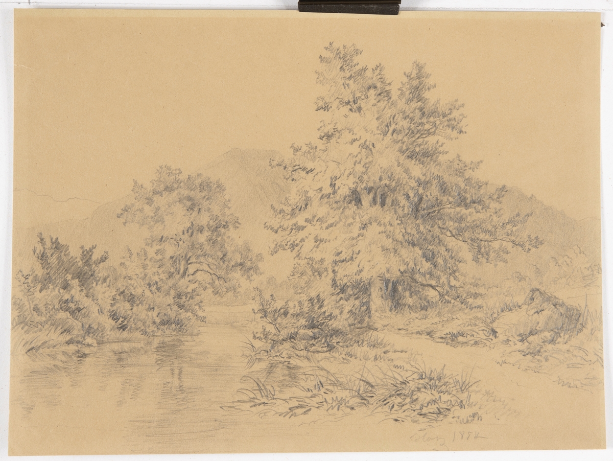 Följande är hämtat från Värmlands Museums accessionsliggare: "Landskapsmotiv, i förgrunden vatten med grässtrand, i mitten ett stort träd och ett mindre samt buskar och gräs. I bakgrunden ett högt kalt träd."