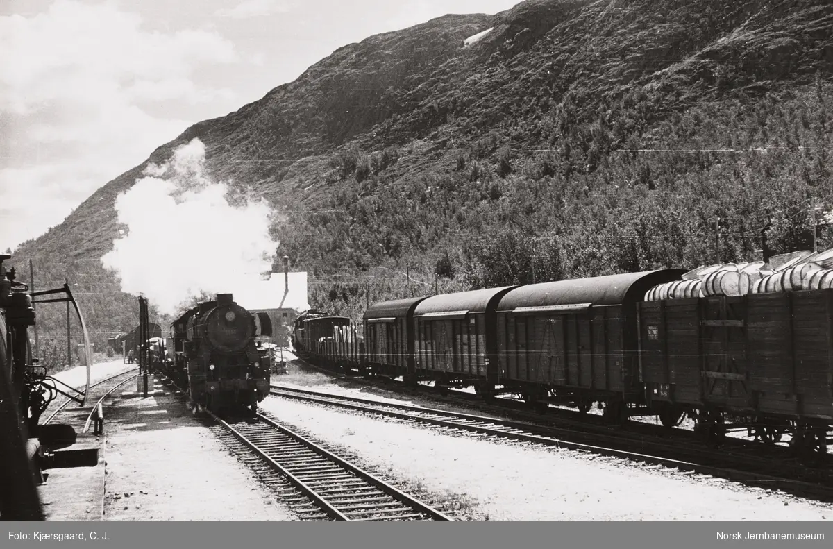 Kryssing på Hjerkinn stasjon, fotografert fra førerrommet i damplokomotiv 49c 473 i hurtigtog fra Trondheim til Oslo Ø, tog 1202. I midten damplokomotiv 63a 5850 med nordgående godstog, til høyre damplok type 63a med sydgående godstog