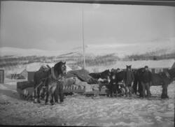 Mennesker med flere hester og slede ved Joatka fjellstue.