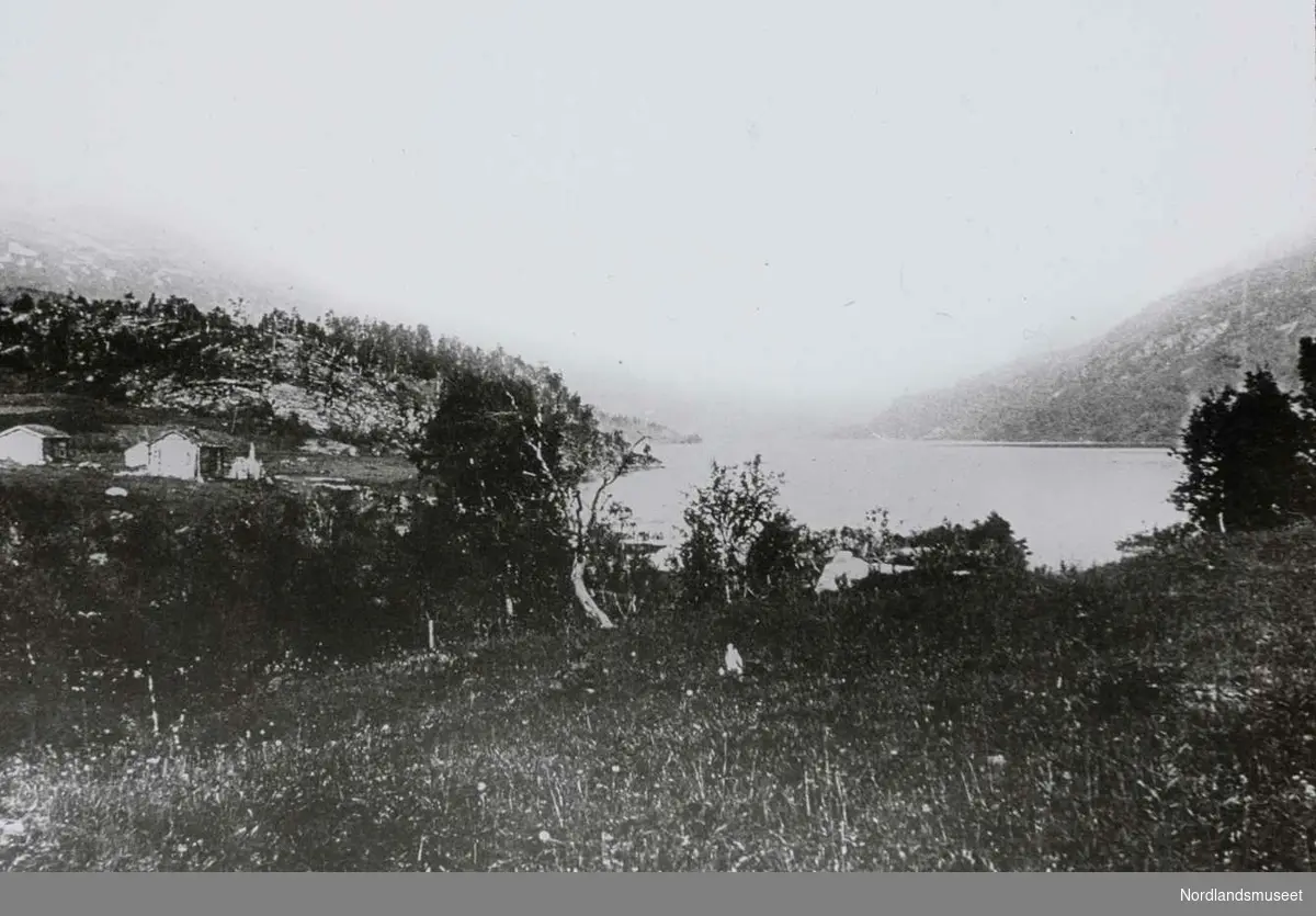 Natur. 
Langvannsdalen sett fra øst. Til venstre rydningsbruket Fagermo.  Foto fra 1888. 

Aanderud.