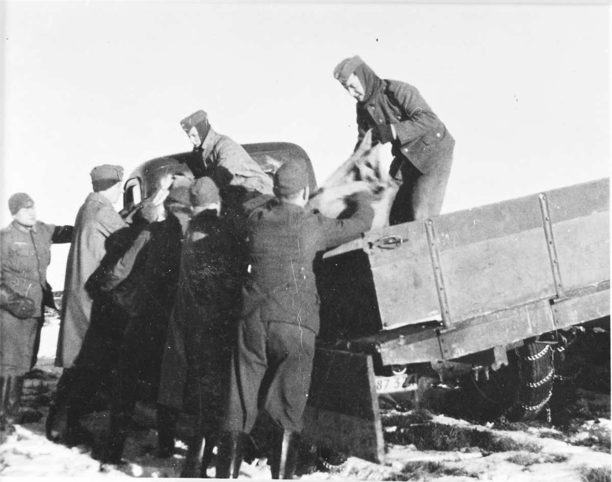Tyske soldater losser fra lastebil
