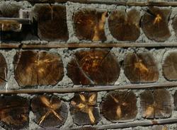 Kubbfjøset i Risjære