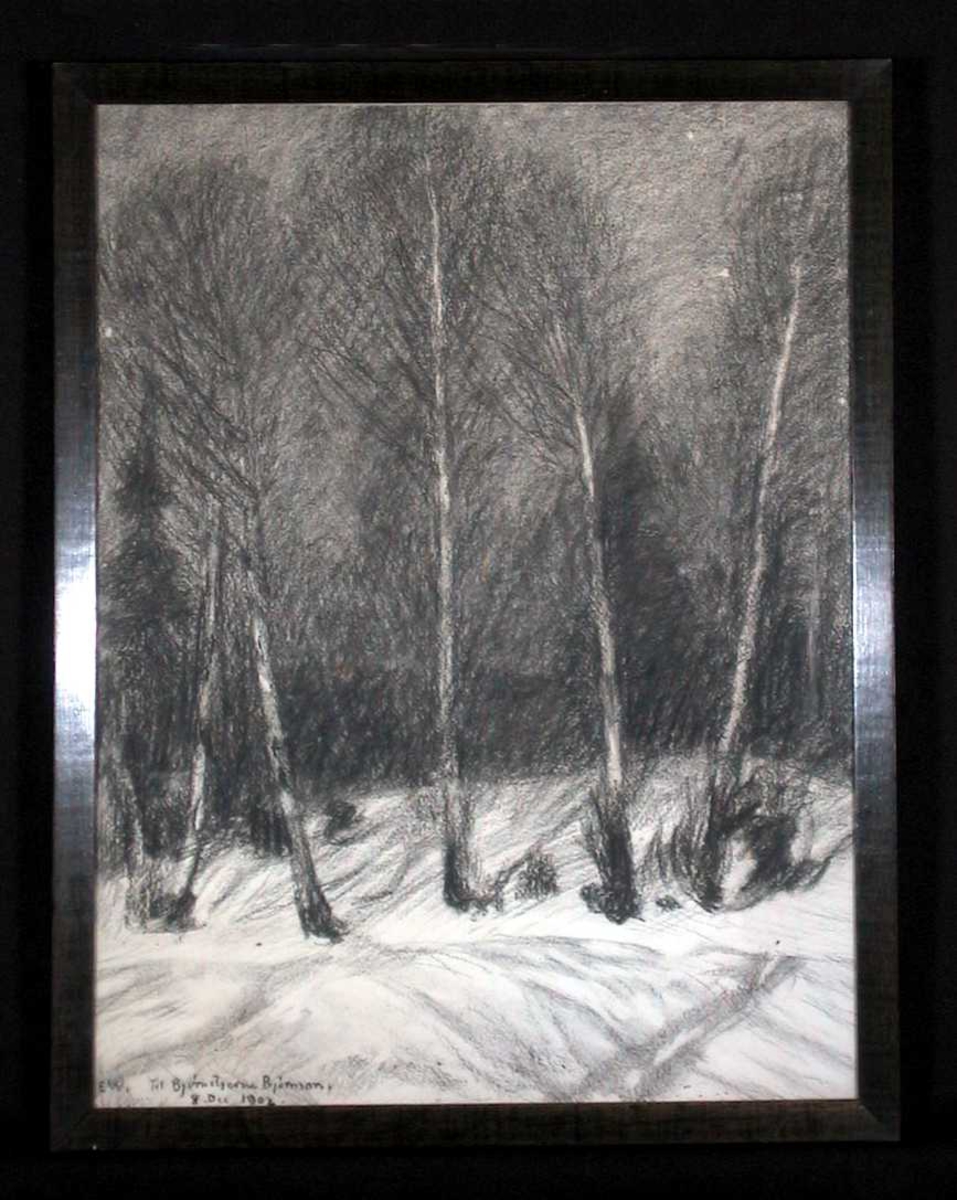 En klynge nakne bjørketrær i en snødekt skråning