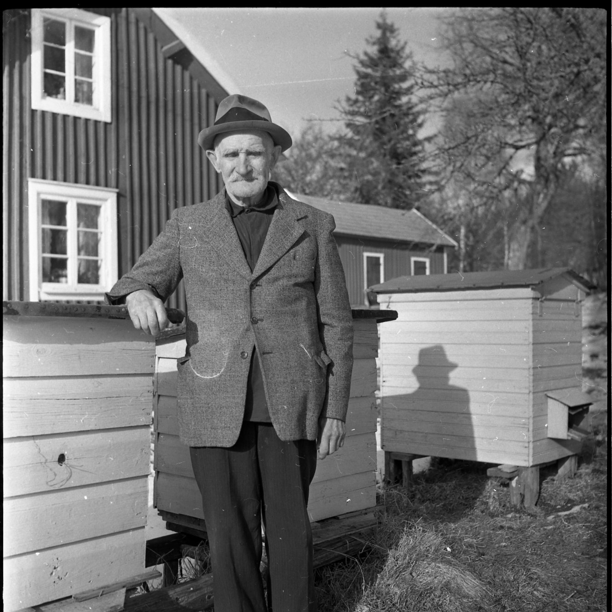 En äldre herre står lutad mot ett bisamhälle. Han bär kavaj och hatt. I ...