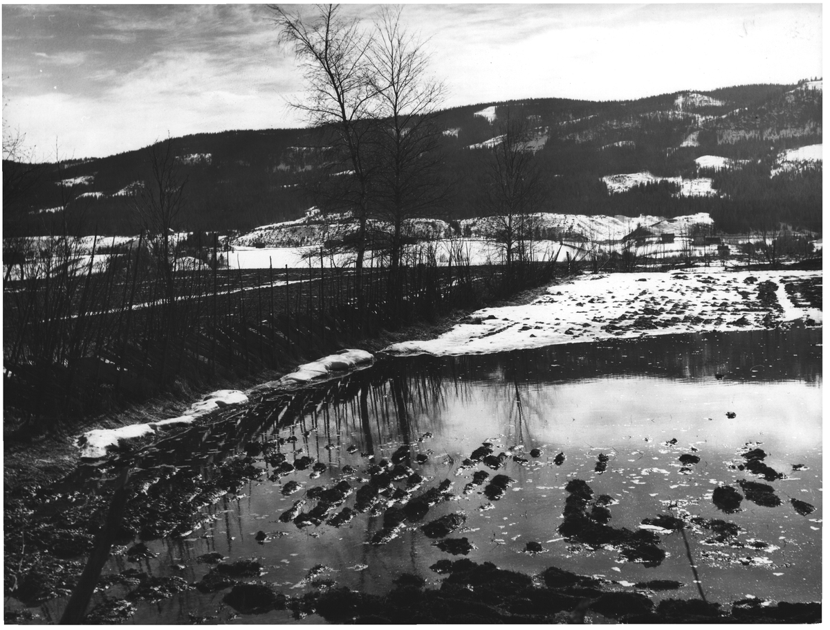 Våren er der Fluberg. N. Land DEXTRA Photo / DigitaltMuseum