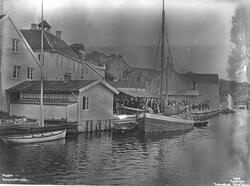 Prot: Mandal - Dampskibsbryggen 29. Juli 1902