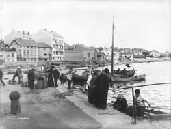 Prot: Grimstad - Fiskebryggen 30. Juli 1902