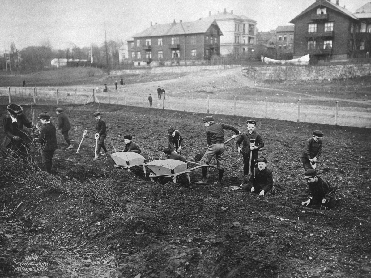 Barn planter bringebær i Frk. Jørstads skolehave, det såkalte “Bondejordet” i Gyldenløves gate som åpnet i 1905. Fotografert i 1907.