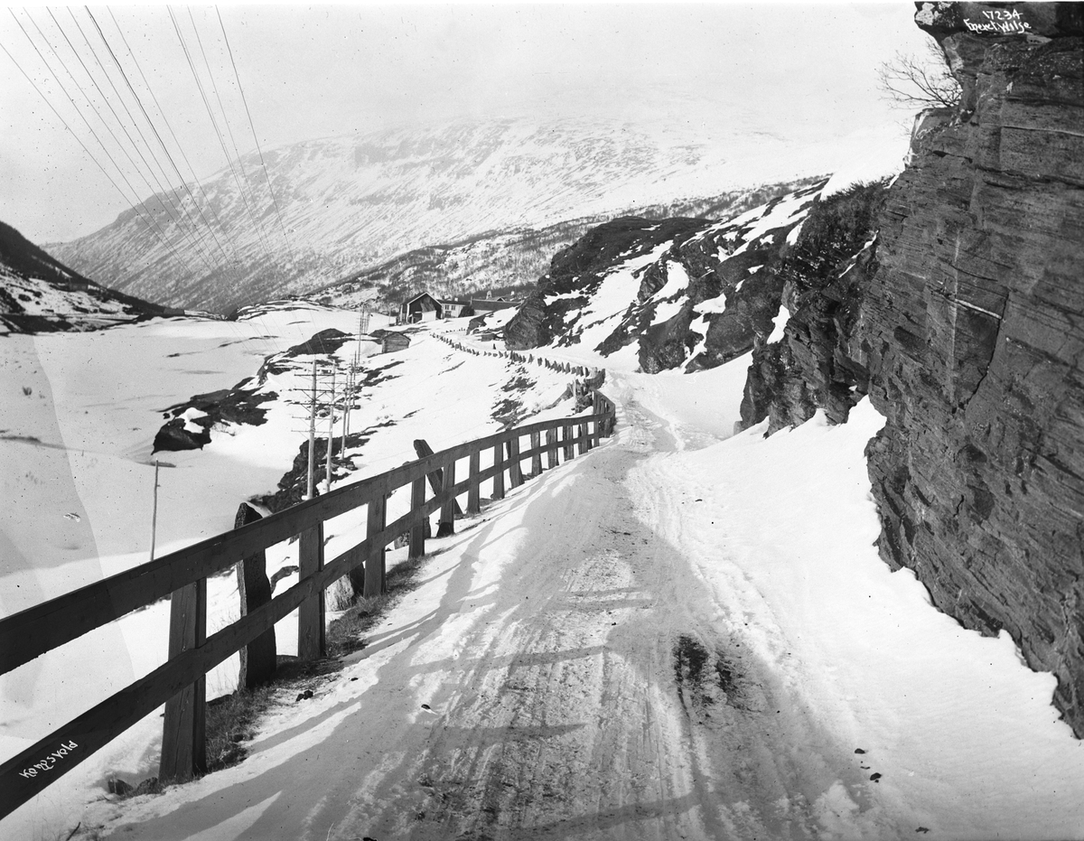 Veien nordover mot Kongsvold Fjeldstue i Drivdalen, Oppdal, Trøndelag, 1915.