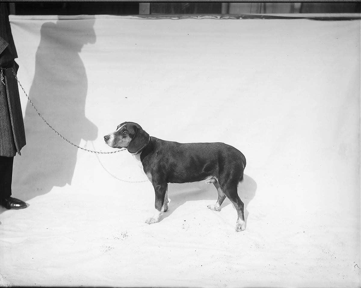 Herr Borge med hunden i snøen.
