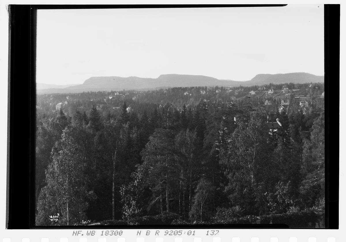 Utsikt Langåsen mot Skaugum og Kolsås. Fotografert 1924.