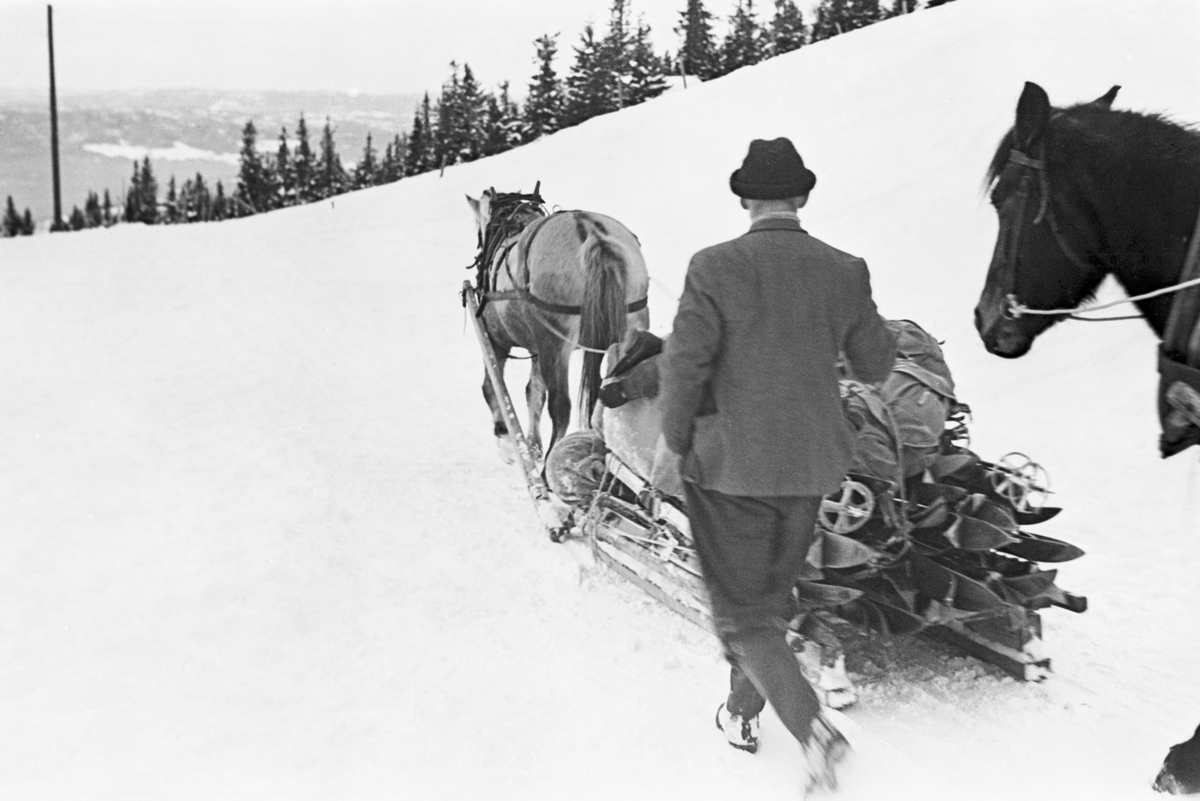 Ski- og bagasjekjøring med hest og slede antatt ved Fjellhvil Hotell på Norefjell, Krødsherad. Fotografert 1941.
