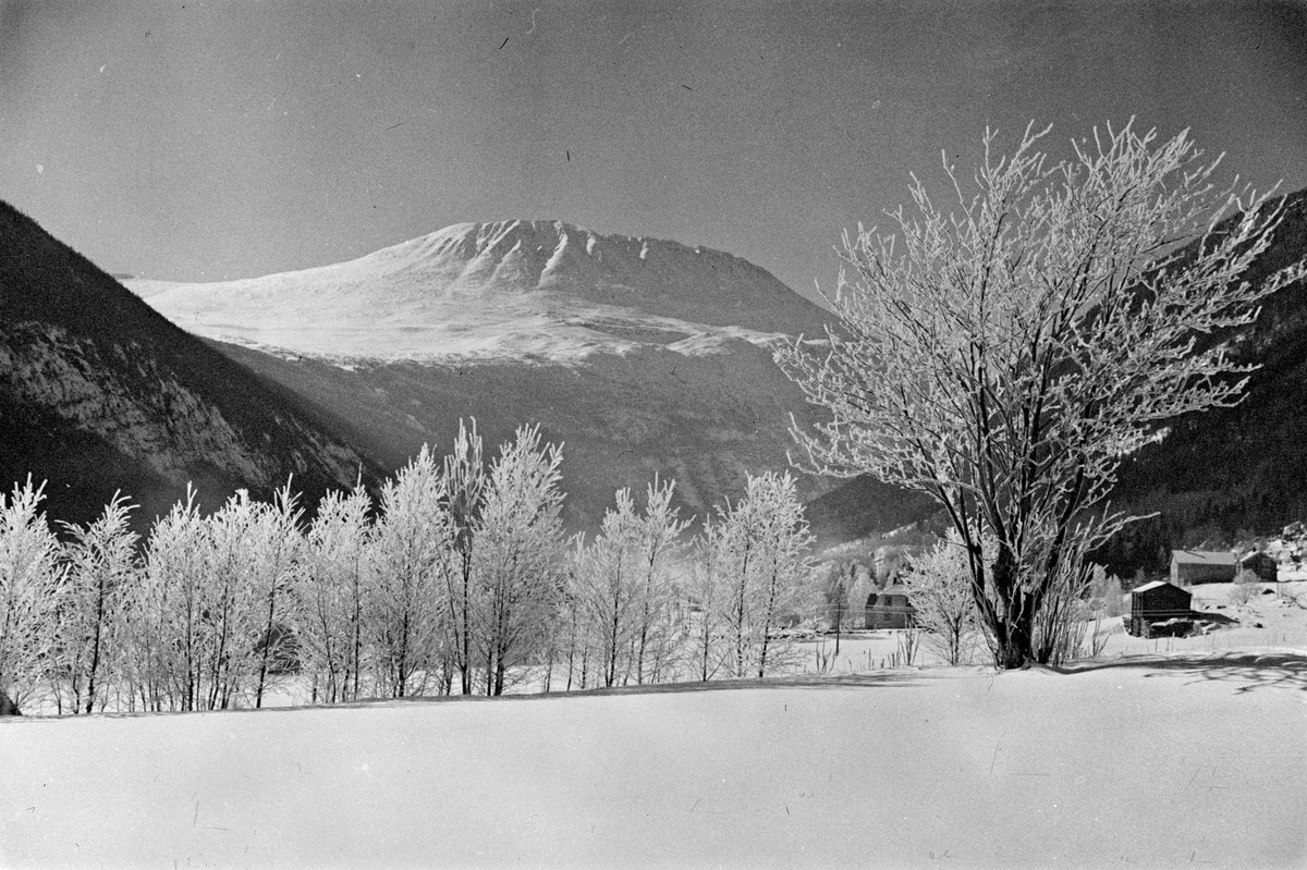 Gaustatoppen vinterstid. Tinn i Telemark. Fotografert 1942.