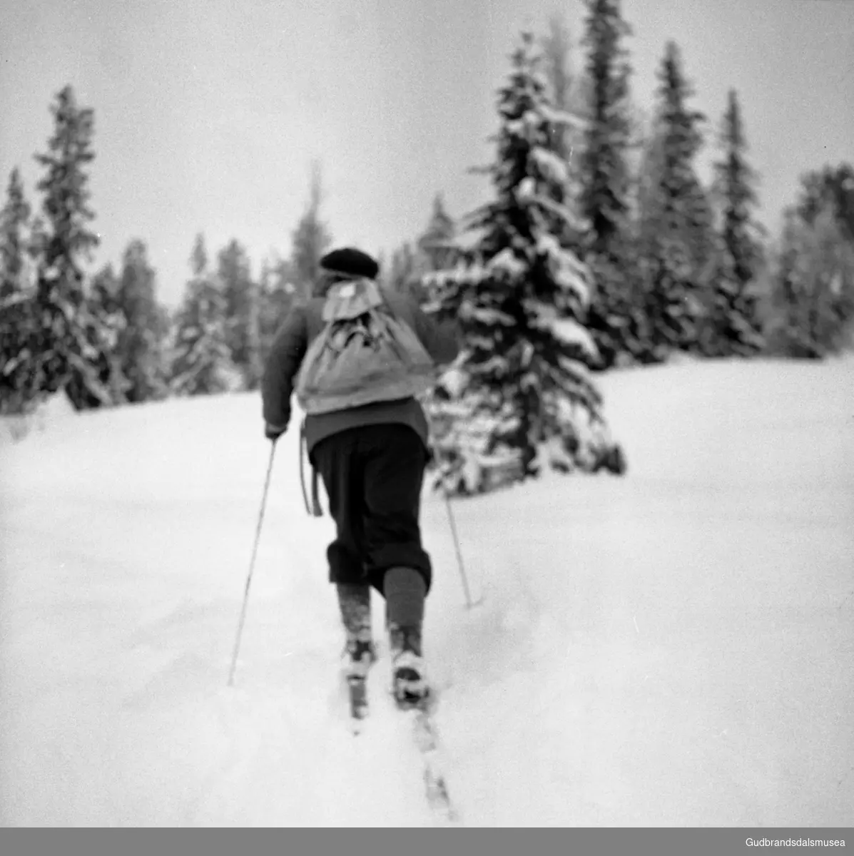 Aktuelt. Skipsreder Knud Lauritzen. Utebilder